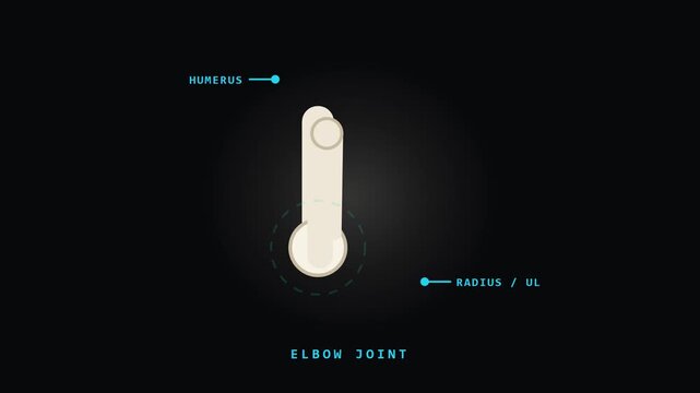 Elbow Joint Flexion Animation with Humerus and Radius for Video Editing and Graphic Works