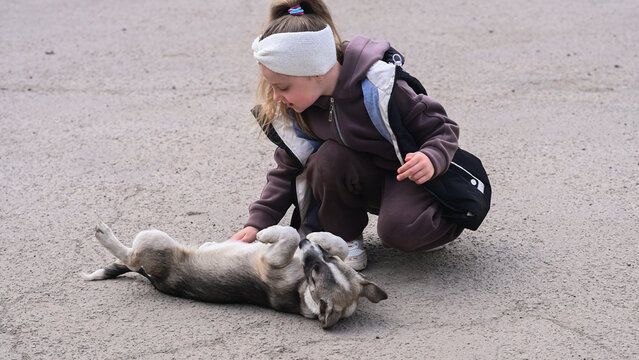 girl touches cute pet on pavement during warm spring day. Young kid interacts with sweet mixed breed animal. Youthful person expresses love to trustful country dog.