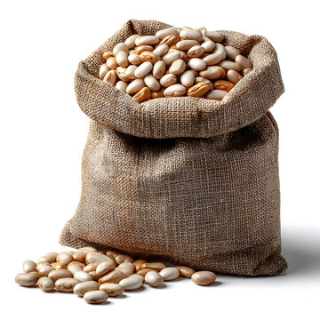 Burlap sack filled with pinto beans and loose beans beside