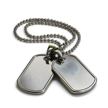 Silver metal dog tag necklace on a plain white background with dog tags