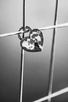 Romantic art love padlock heart shaped lock metal fence black white symbol eternal love couples valentine commitment. Conceptual love romance scene. Wedding anniversary devotion couples bond symbol