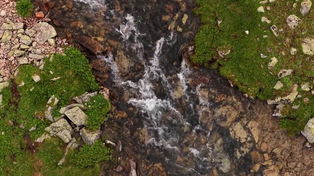 Clear mountain stream flowing over rocks in natural landscape