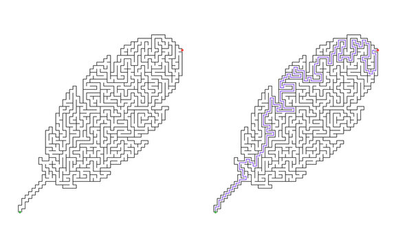Feather shaped maze puzzle with start and finish points