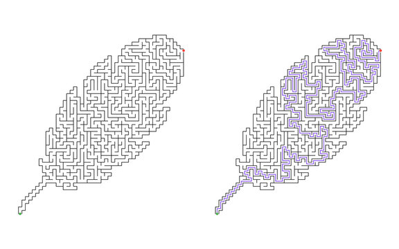 Feather shaped maze puzzle with highlighted solution path