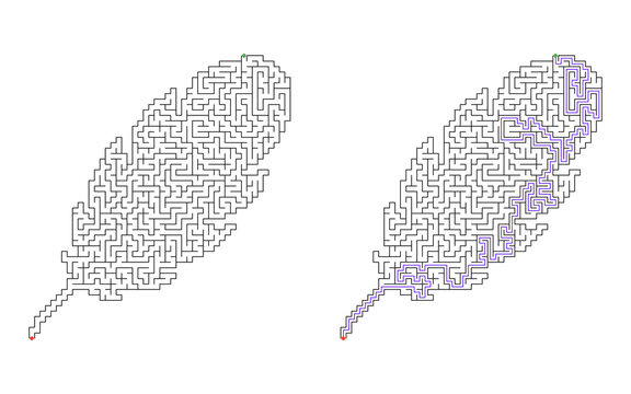 Feather shaped labyrinth with complex maze and solution