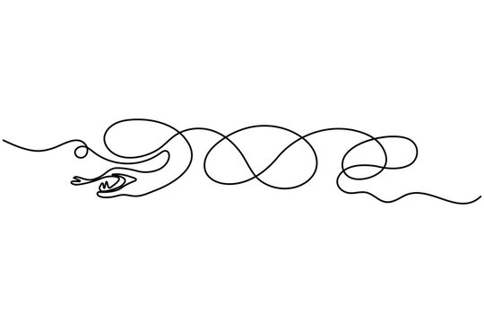 Snake continuous line minimalist animal illustration