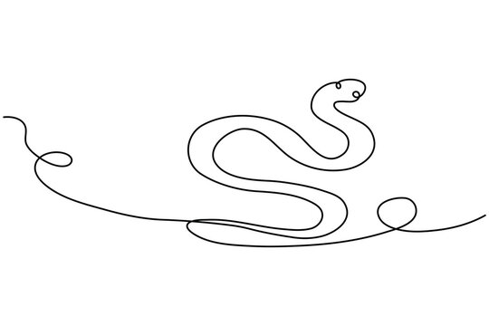 Snake continuous line minimalist animal illustration