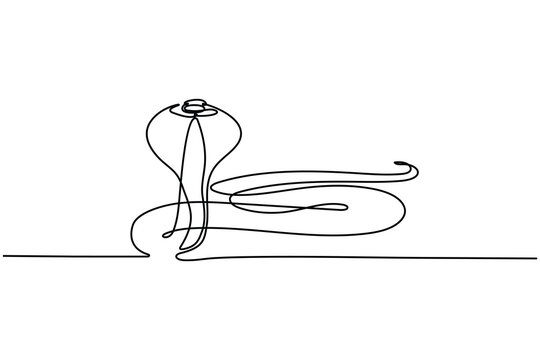 Snake continuous line minimalist animal illustration