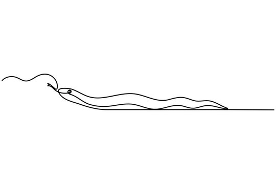 Snake continuous line minimalist animal illustration