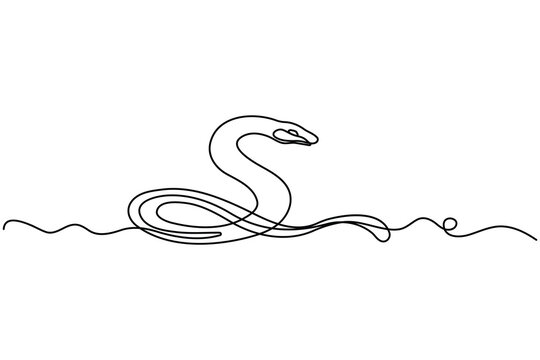 Snake continuous line minimalist animal illustration