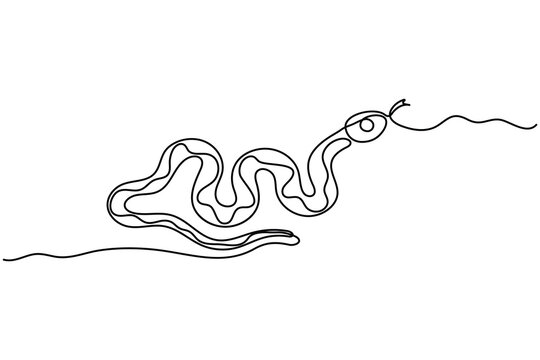 Snake continuous line minimalist animal illustration