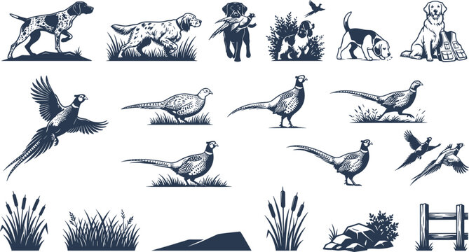 Vintage hunting dog and pheasant vector illustration collection featuring bird dogs gundogs flying pheasants retriever retrieving prey and rustic outdoor field elements
