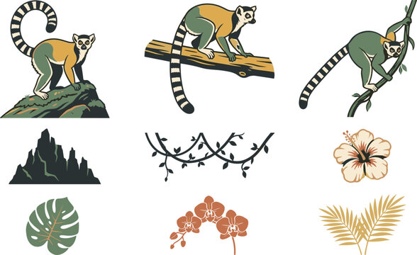 Ring-tailed lemur vector illustration set featuring exotic tropical jungle elements, wild animals, monstera leaves, hibiscus flowers, and rainforest vines for creative graphic designs