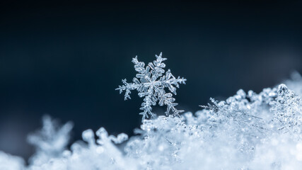 Plakat snapshot of a small snowflake taken during a snowfall