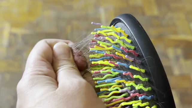 Woman hand pulling a clump of loose hair from a black brush with colorful bristles. hair loss, alopecia problem, grooming routine, health care.