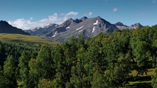 Aerial view of green forest and snowcapped mountains