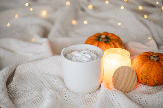 Mug of hot cocoa topped with whipped cream served with autumn pumpkins and a cozy throw blanket, warm seasonal drink