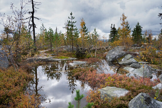 A small calm pond in the autumn taiga
