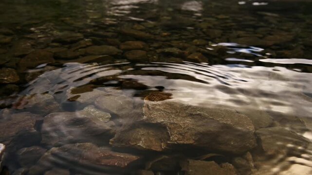 Clear Water Flowing Over Rocky Riverbed