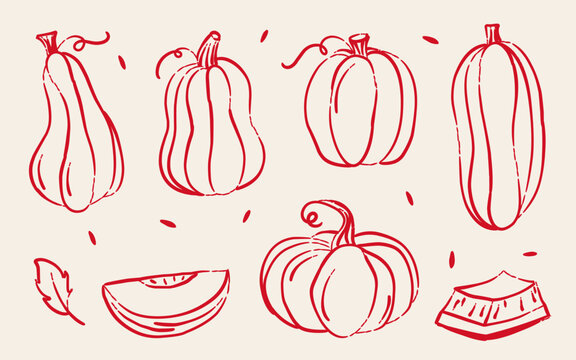 Hand Drawn Pumpkin And Squash Line Art Collection, Red Sketch Style Autumn Illustrations For Fall Decor, Thanksgiving, Food Packaging, Labels And Seasonal Designs