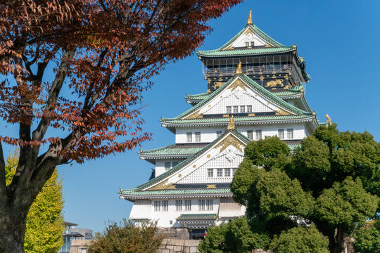 Ch&acirc;teau d'Osaka en l'automne, Kansai, Japon