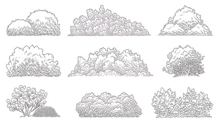 Obraz premium Set of shrubs and bushes in elevation view for use in architectural drawings, isolated on transparent background 