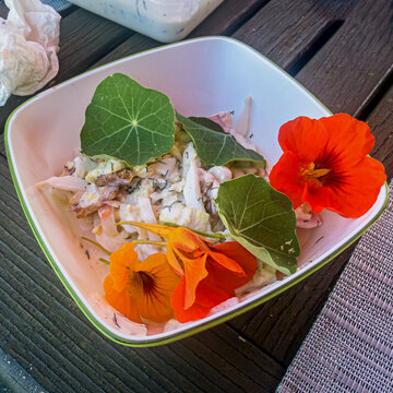 Slaat frisch aus dem Garten