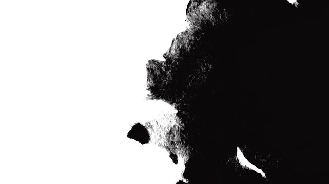 Organic watercolor ink drop bleed animation ink splash transition with watercolor blots spreading on white background