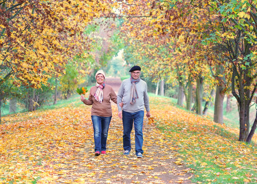 Romantic Autumn Walk with a Happy Couple Among Colorful Fall Foliage