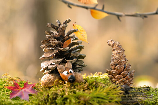Rustic Nature Craft with Acorns, Nuts and Pinecones in Golden Autumn Light
