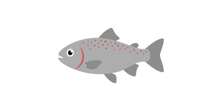 Grey trout fish cartoon vector illustration with red spots and gills for wildlife and angling concepts.