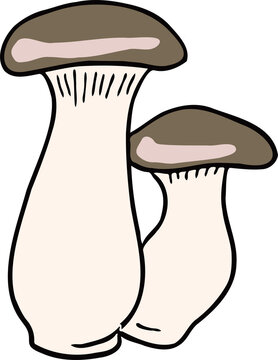 king oyster mushroom