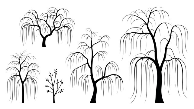Vector set of weeping willow trees in elevation view for use in architectural drawings