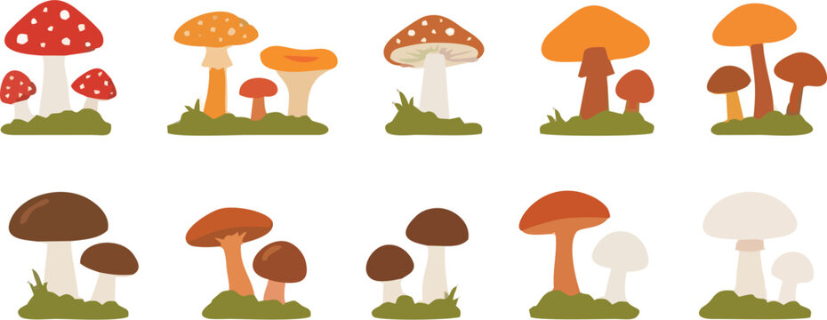 Autumn Tree Vector Set with Colorful Forest Foliage, Woodland Plants and Mushroom Elements Isolated on White Background for Seasonal Nature Illustration and Decoration