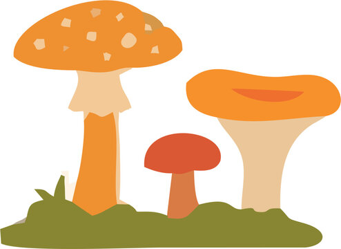 Mushrooms Growing in Forest Grass Vector Illustration with Colorful Toadstools, Autumn Leaves and Natural Fungi Elements for Seasonal Woodland Nature Design