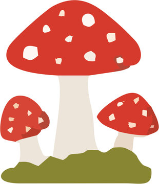 Red Fly Agaric Mushroom Amanita Muscaria Vector Illustration, Poisonous Toadstool with Bright Red Cap Isolated on White Background for Forest, Autumn and Nature Design