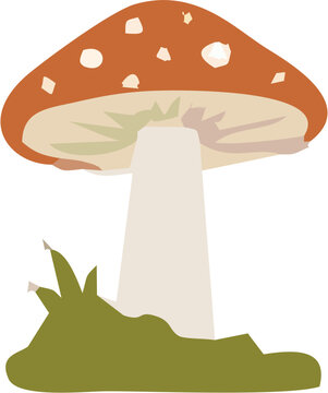 Mushroom and Toadstool Collection Vector Illustration, Colorful Forest Fungi with Red and Brown Caps for Nature, Autumn, Food and Botanical Design