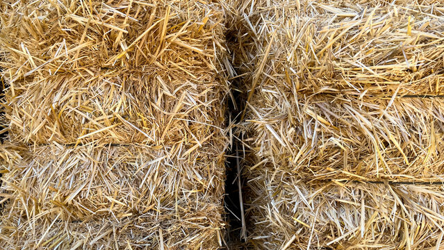 Stacked straw bales providing natural texture and rustic background. Farmers harvesting dried stalks for animal feed and farm use