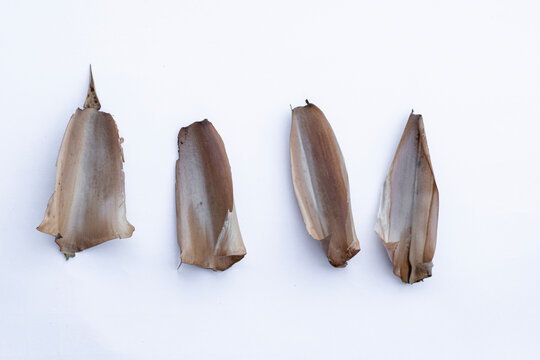 Dry bamboo culm sheath pieces isolated on white background for natural material and traditional craft. dried Bambusa sheath leaves isolated on white background for organic natural background design
