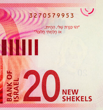 20 Israeli shekel banknote in red colors. Israeli currency. New shekel banknote.