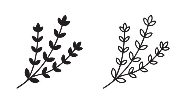 thyme sprig silhouette with line art vector icon set featuring herb