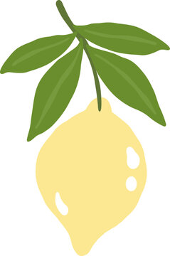 cute yellow lemon juicy vitamin fruit vector cartoon illustration