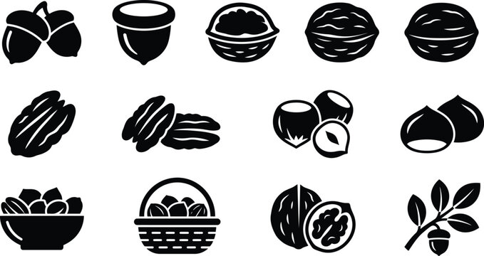 Set of black and white vector nut icons featuring walnuts acorns pecans and hazelnuts for healthy food graphic design projects