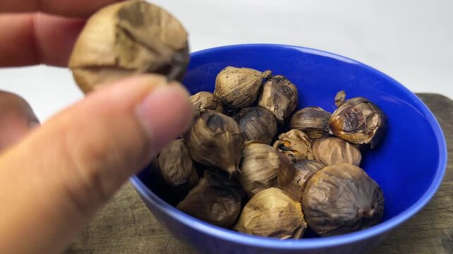 Hand holding single clove garlic for herbal medicine