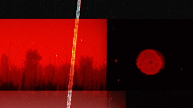 analog glitch transition and flim strip 