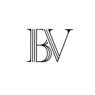 bv logo design