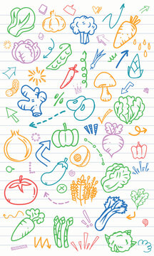 Hand Drawn Fresh Vegetable Notebook Paper Backgroun