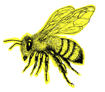 abeja