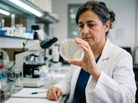 Investigadora examinando muestras de laboratorio en placas de Petri