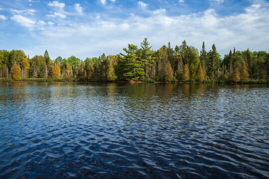 Beautiful blue northern Minnesota lake with pines on the shore and clouds during September